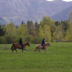 Mystic Mountain Ranch (OPG Popravak)