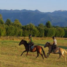 Mystic Mountain Ranch (OPG Popravak)