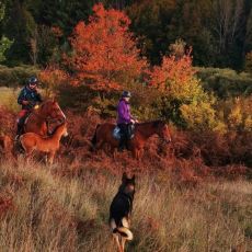 Mystic Mountain Ranch (OPG Popravak)
