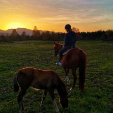 Mystic Mountain Ranch (OPG Popravak)