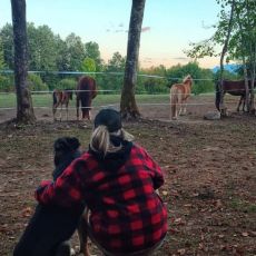 Mystic Mountain Ranch (OPG Popravak)