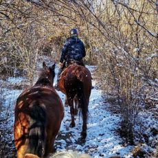 Mystic Mountain Ranch (OPG Popravak)