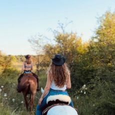Wild Spring Ranch