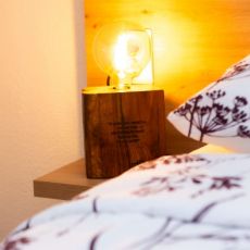 Nikola’s Lamp