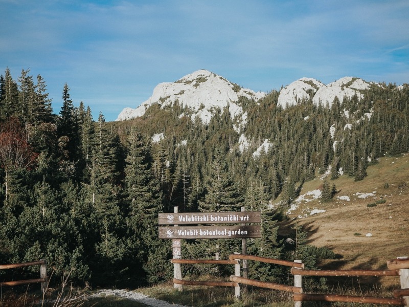 Lika destination zaviYan (botaniYki vrt)