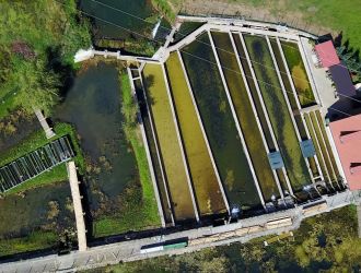 Croatian center for indigenous karst water fish and crab varieties