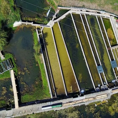 Croatian center for indigenous karst water fish and crab varieties