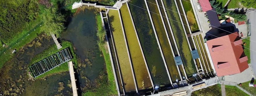 Croatian center for indigenous karst water fish and crab varieties