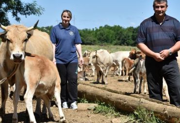 Čačić Alenka family farm