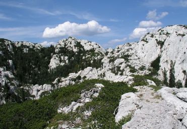 Premužić Trail