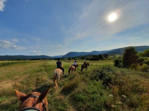 Lika destination - Ranch Terra - mjesto gdje se avantura susreće s prirodom na jedinstven način