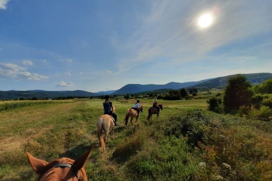 Ranch Terra - a place where adventure meets nature in a unique way