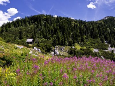 Ostanite doma i planirajte odmor u Lika destinaciji