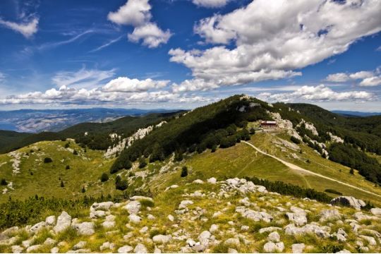 Sjeverni Velebit dom je medvjedu, vuku i risu: Ovo su neke od posebnosti nacionalnog parka
