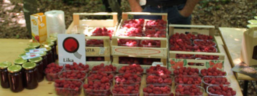 Štajdohar Josipa family farm