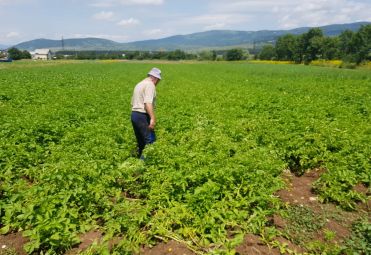 Priher Ivica family farm