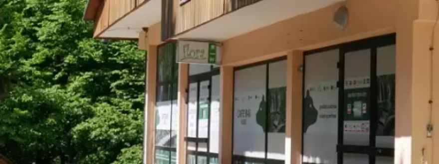 Flora café bar
