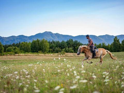 Lika destination - U ovoj divnoj hrvatskoj regiji nalaze se čak tri nacionalna parka! Ima i rijeku koja ‘nestaje’ i tople ljude najširih osmijeha