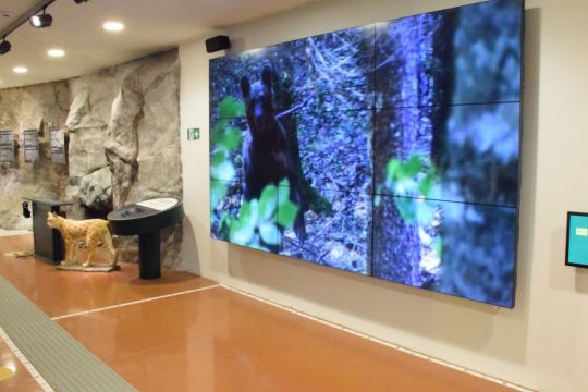 During the summer heat, it's time to visit the House of Velebit in Krasno