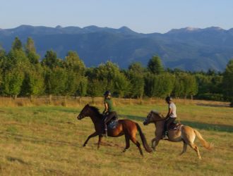 Mystic Mountain Ranch (OPG Popravak)