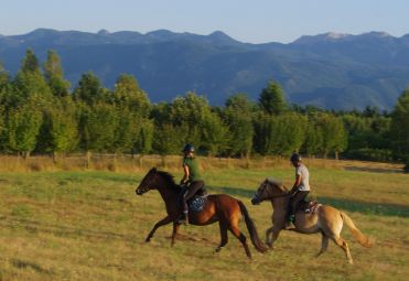 Mystic Mountain Ranch (Family farm Popravak)