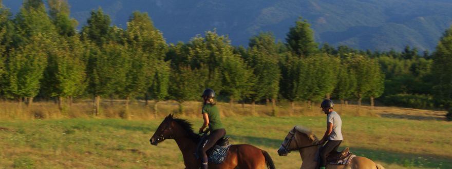 Mystic Mountain Ranch (Family farm Popravak)