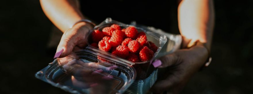 OPG Borčić Bertil Vladimir