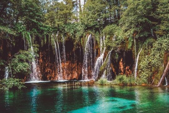 Plitvice is the world's most searched national park