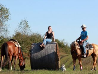 Wild Spring Ranch