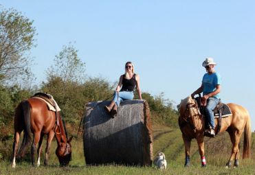 Wild Spring Ranch