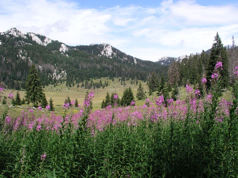 NP Sjeverni Velebit